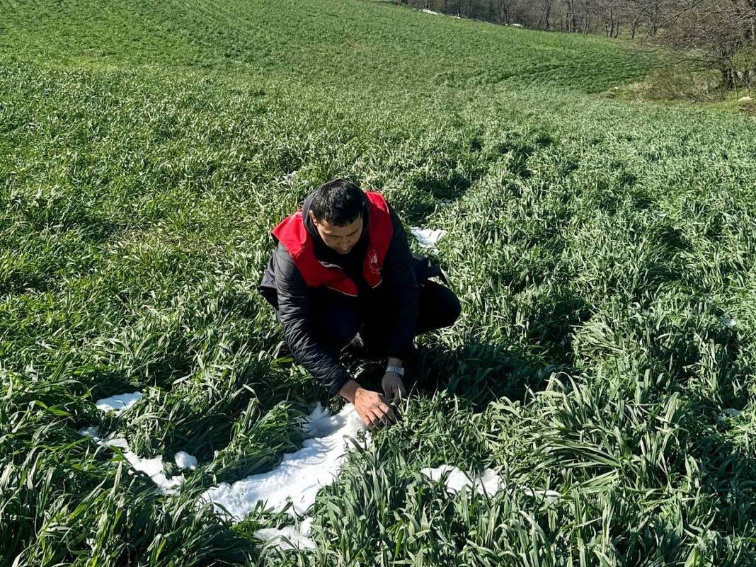 Tarımda tarihin en büyük felaketi yaşanıyor! Meyve, sebze fiyatlarında rekor artış yaşanacak 23
